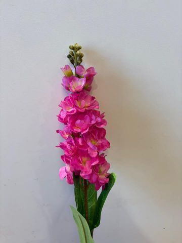 DELPHINIUM FUCSIA 6277-07