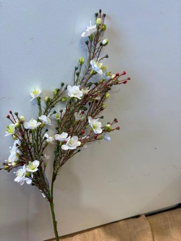 VARA FLOR DE CERA COLECCION VERONA CREMA 2145-01