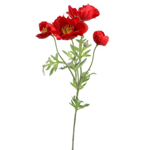 VARA PAPAVER ROJO 4689-08