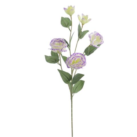 VARA LISIANTHUS CREMA 6274-01