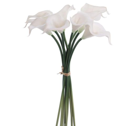 VARA ATADO CALAS CREMA 3910-01
