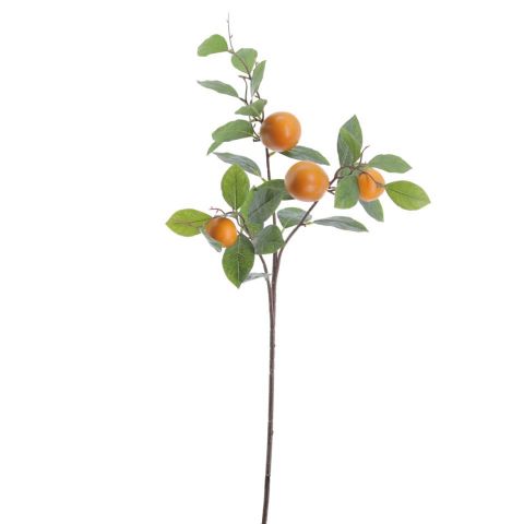 VARA RAMA NARANJAS NARANJA 6001-15