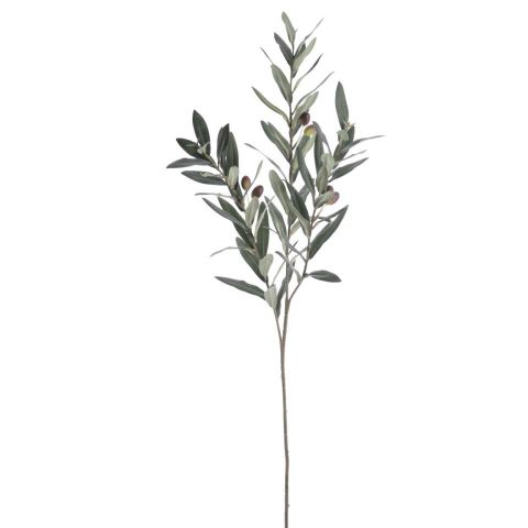 VARA OLIVO VERDE 82CMS 2009-09