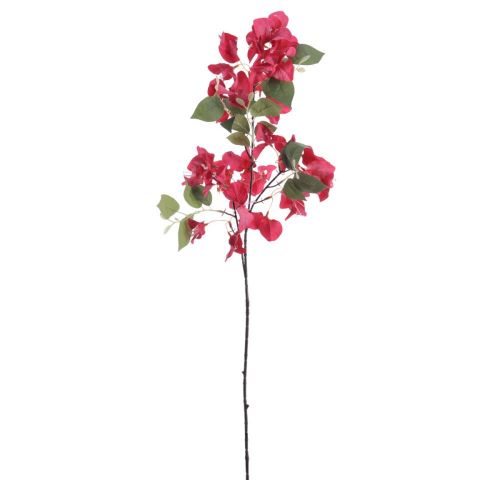 VARA BOUGANVILLA *FUCSIA 6275-07