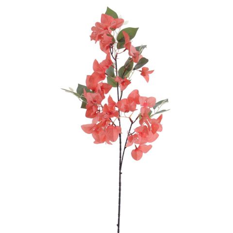 VARA BOUGANVILLA *CORAL 6275-24