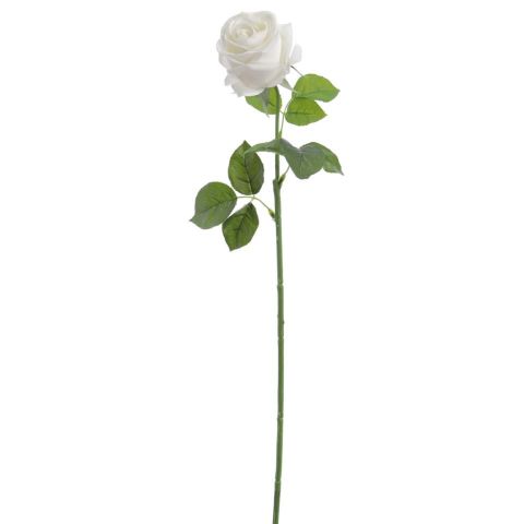 ROSA HOLLAND REAL TOUCH CREMA 2149-01