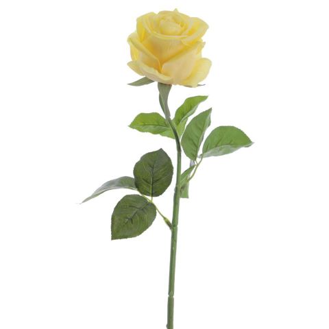 ROSA HOLLAND REAL TOUCH AMARILLO 2149-02