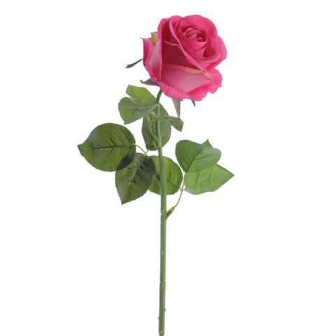 ROSA HOLLAND REAL TOUCH FUCSIA 2149-07