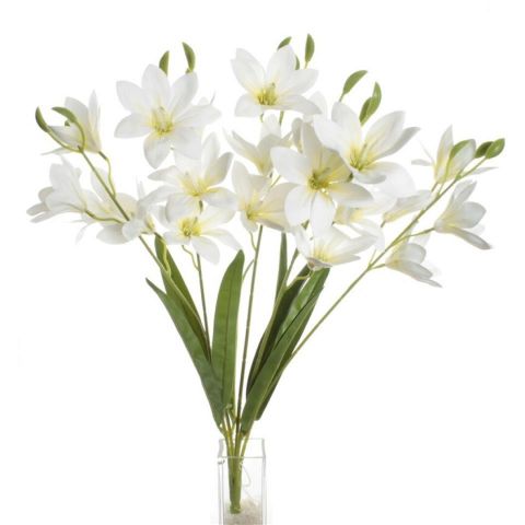 RAMO LILIUM TACTO NATURAL *BLANCO 7940