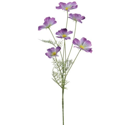 COSMOS COLECCION VERONA 72CMS PURPURA 2143-16