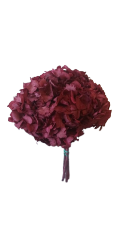 HORTENSIA PRESERVADA* CEREZA 000.740.49
