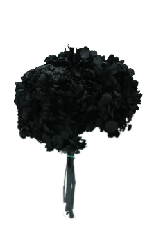 HORTENSIA PRESERVADA* NEGRO 000.740.99